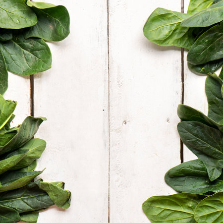 Bundle of fresh spinach on white backgroundの写真素材