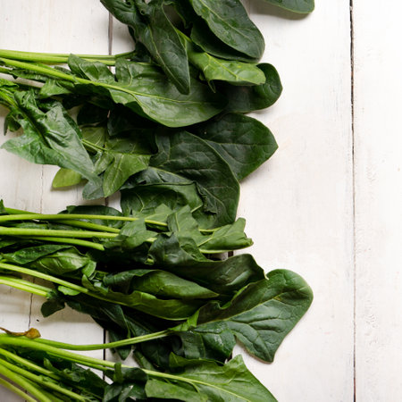 Bundle of fresh spinach on white backgroundの写真素材