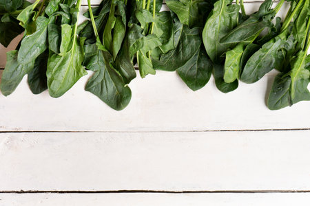 Bundle of fresh spinach on white backgroundの写真素材