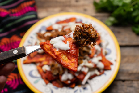 Traditional mexican red chilaquiles with chilorio and cheese on wooden backgroundの写真素材
