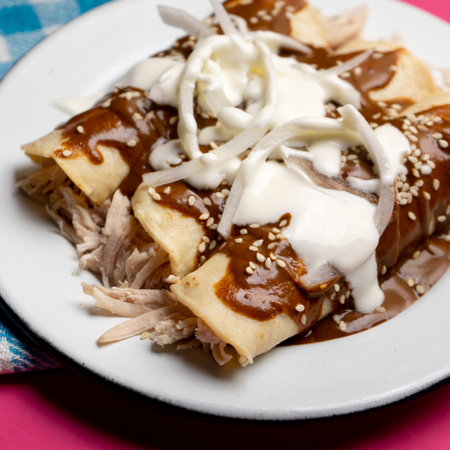 Traditional mexican chicken enchiladas with mole sauce on pink backgroundの写真素材