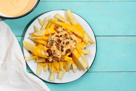 Animal style french fries with cheese and caramelized onion on turquoise background
