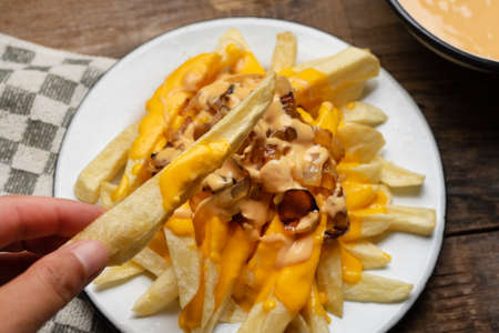 Animal style french fries with cheese and caramelized onion on wooden background