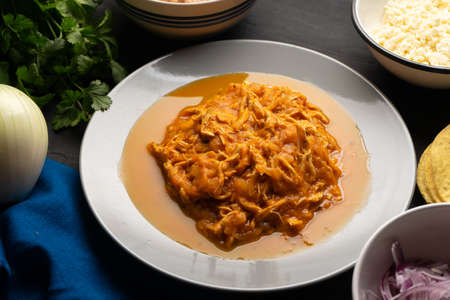 Chicken tinga with chipotle sauce. Traditional mexican foodの写真素材