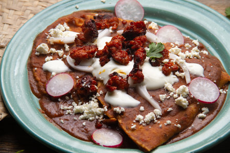 Traditional mexican enfrijoladas with chorizo and fresh cheeseの写真素材