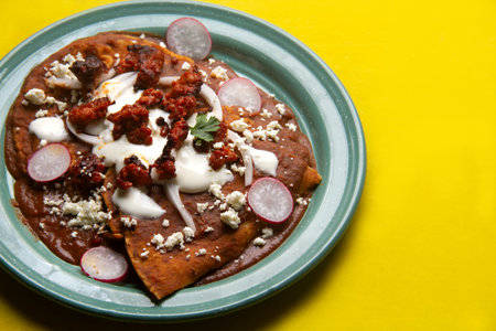 Traditional mexican enfrijoladas with chorizo and fresh cheeseの写真素材