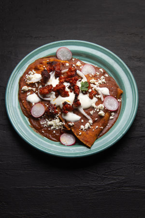 Traditional mexican enfrijoladas with chorizo and fresh cheeseの写真素材