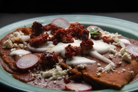 Traditional mexican enfrijoladas with chorizo and fresh cheeseの写真素材