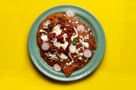 Traditional mexican enfrijoladas with chorizo and fresh cheeseの写真素材