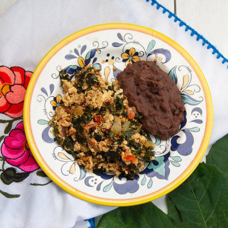 Traditional Yucatan food: Scrambled eggs with chaya.の写真素材