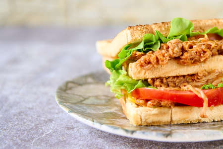 delicious and fresh sandwich on a slate surfaceの写真素材
