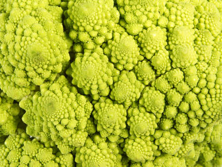 Fractal Texture of Romanescuの写真素材