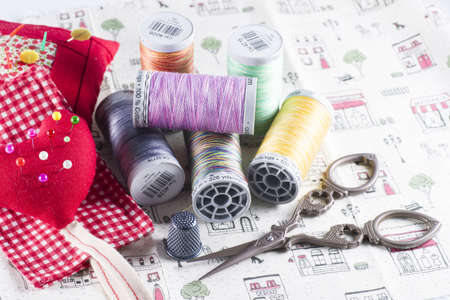 Neddle Case, Spool and Scissors on Fabric