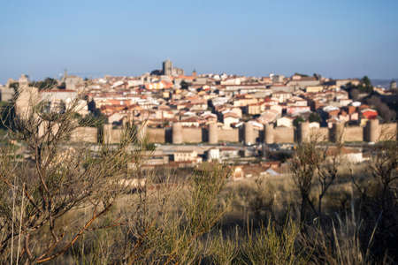 Wall of Avila View