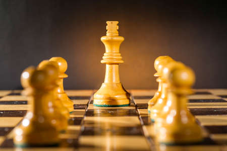 Some Chess Wooden Pieces on Their Board
