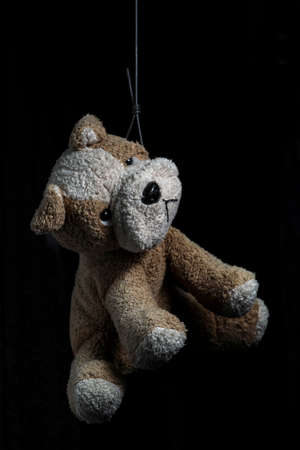 Stuffed Dog Committed Suicide. Metaphoric Photo.の写真素材