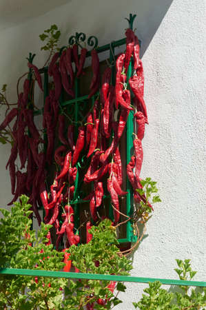 red peppers, hung in a window to dry in the sun, and use all year round, gastronomic delicacyの写真素材