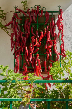 red peppers, hung in a window to dry in the sun, and use all year round, gastronomic delicacyの写真素材