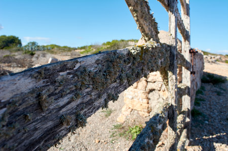 detail of typical wooden door, with lichens, in stone wall next to the road, with beautiful blue sky over Mediterranean forest, mallorca spainの写真素材