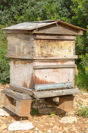 A rustic wooden beehive set against lush green foliage, bee hive in the countryside, beekeeping, nature concept in mallorca, spain balearic islandsの写真素材