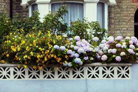 facade with flowersの写真素材