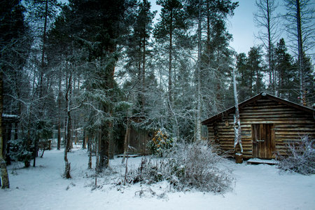 Log cabin in Laplandの写真素材