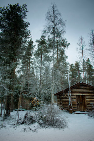 Log cabin in Laplandの写真素材