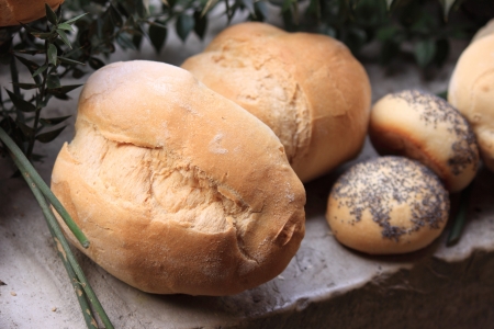 The bread
