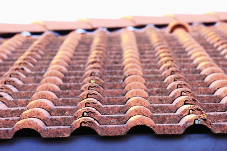 The roof