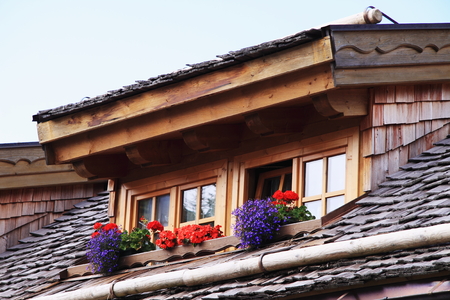 Flowers at the windowの写真素材