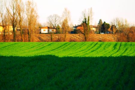 Contrasts and colors of a sceneの写真素材