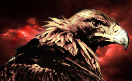 Eagle on stormy skyの写真素材