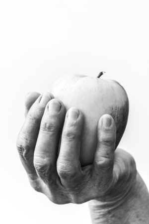 The apple and the witch's handの写真素材
