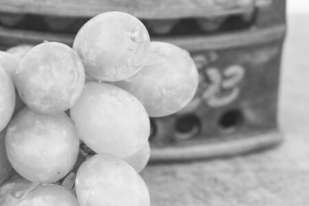 White grapefruitの写真素材