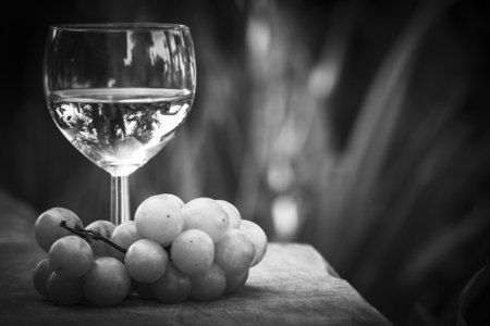 Italian white wine with grapefruitの写真素材