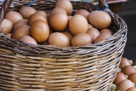Basket full of eggsの写真素材