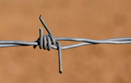 macro barbed wire detailの写真素材