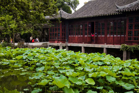 Chinese Garden with aquatic plants - Chinaのeditorial素材
