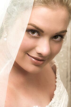 Beautiful, classical style bride wearing a veilの写真素材
