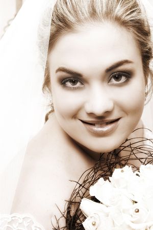 Beautiful, classical style bride wearing a veilの写真素材