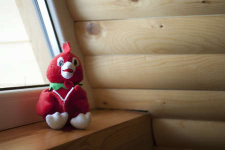 cuddly parrot sitting near window in wooden houseの写真素材