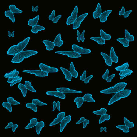 Blue butterflies on black background