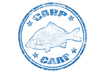 grunge rubber stamp of a carp fish and the word carp written inside,vector illustrationのイラスト素材