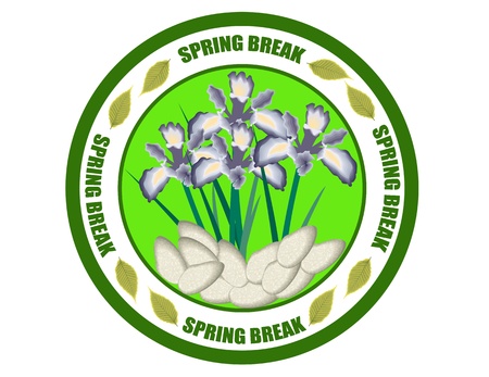 Spring break labelのイラスト素材
