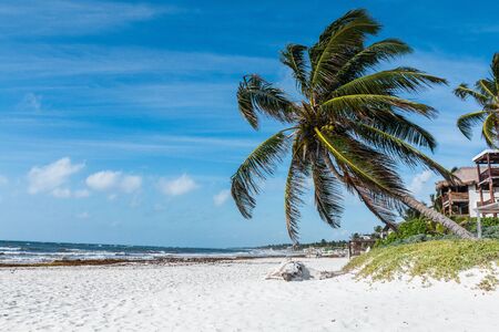 Tulum, Yucatan, Riviera Maya. Tulum beach with beautiful palm trees, Caribbean Sea in Mexico.の写真素材