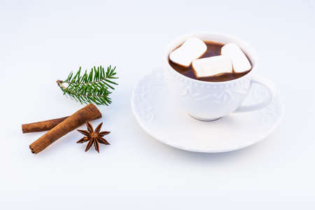 Hot chocolate with marshmallow, anasone, cinnamon  and Christmas tree branches on a white background, top view.の写真素材