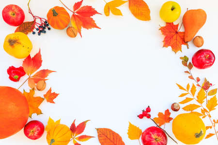 Autumn composition. Colorful leaves, pumpkin, apple, quince, pear, nuts, pepper, chestnuts  on white...