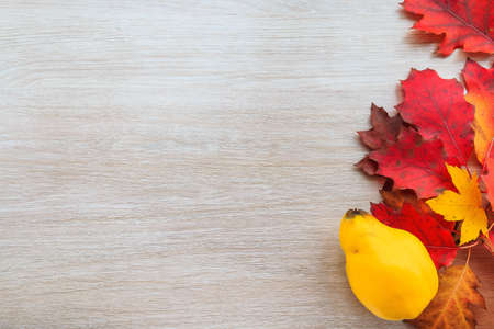 Autumn decor from leaves and quince on a wooden background. Flat lay autumn composition with copy space.の写真素材