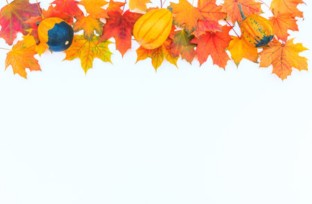Autumn decor from pumpkins and leaves on a white background. Flat lay autumn composition with copy space.の写真素材