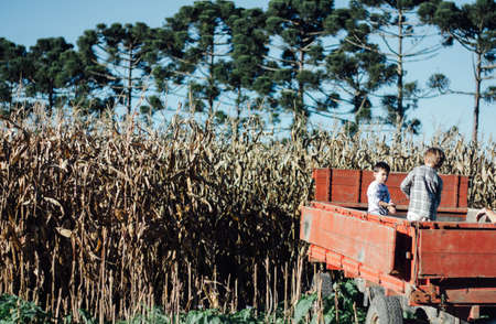 Two little boys playing in the trunk of an old truck parked in front of a farm.のeditorial素材